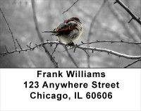 Sparrow In Winter Address Labels | LBANJ-18