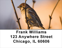 Sparrows At Daybreak Address Labels | LBANJ-21