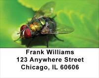Fern With Insects Address Labels | LBNAT-49