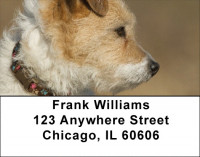 Fox Terrier Address Labels | LBQBR-56