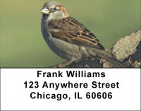 Sparrow In Spring Address Labels | LBZANJ-17