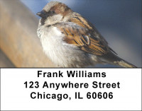 Sparrow Simplicity Address Labels | LBZANJ-20