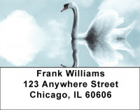 Swans - Swan Fantasies Address Labels | LBZANK-58