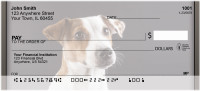 Jack Russell Terrier Personal Checks | QBB-63