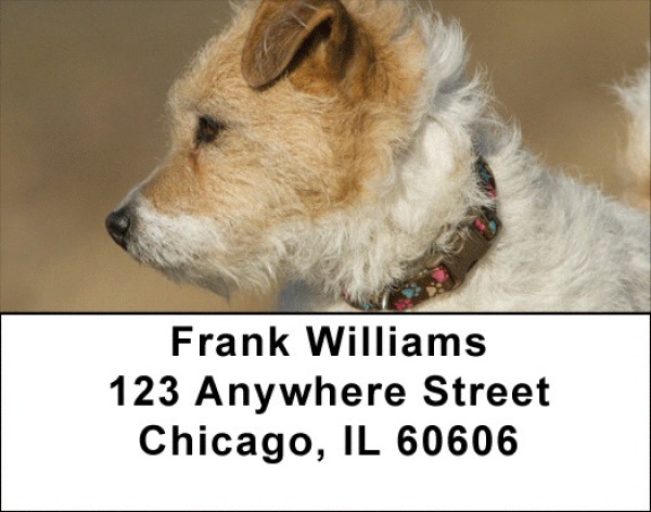 Fox Terrier Address Labels | LBQBR-56