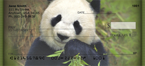 Panda Bears Personal Checks 