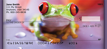 Eyes of the Frog Personal Checks 