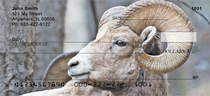Big Horn Sheep Personal Checks 