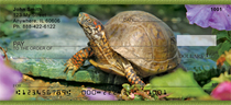 Box Turtles Personal Checks 