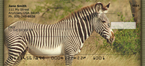 Zebra In Wild Personal Checks 