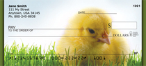 Spring Chicks Personal Checks 