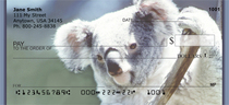 Koala Bears Personal Checks 