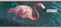 Flamingos In Wild Personal Checks 