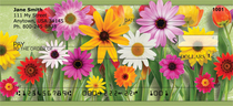 Spring Line Up Personal Checks