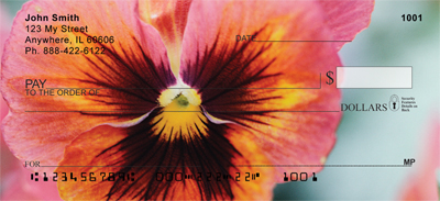Pansy Parade Checks
