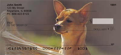 Chihuahua Attitude Checks - 1