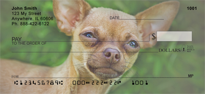 Chihuahua Attitude Checks - 2