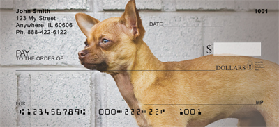 Chihuahua Attitude Checks - 3