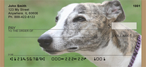 Faces Of A Greyhound Checks 