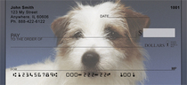 Jack Russell Terrier Portrait Checks 
