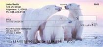 Polar Bears Checks 
