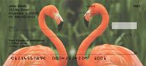 Flamingos Checks 