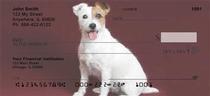 Jack Russell Terriers Checks 