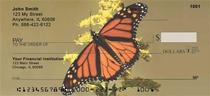 Monarch Butterflies Checks 