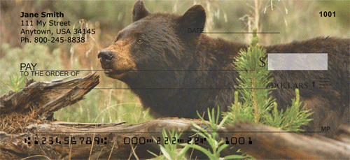 Black Bear Cubs Checks