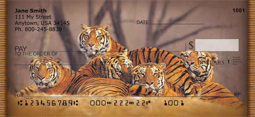 Bengal Tigers Checks