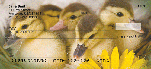 Ducklings in Spring Personal Checks
