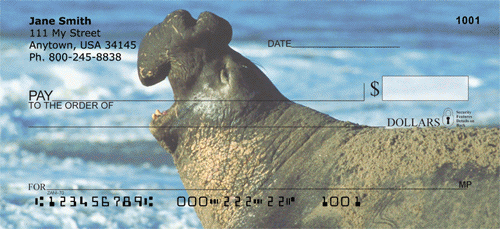 Elephant Seals and Sea Lions Personal Checks