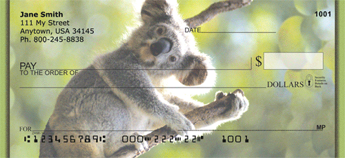 Koala Bears Personal Checks