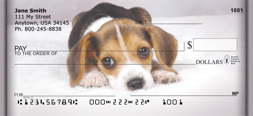 Beagle Puppies Checks