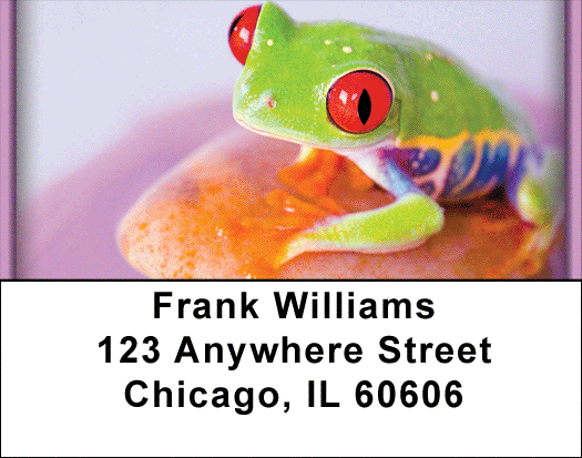 Eyes of the Frog Address Labels