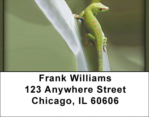 Geckos Address Labels