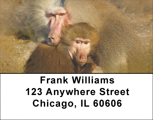 Baboon Business Address Labels