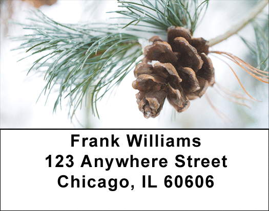 Pinecones In Snow Address Labels