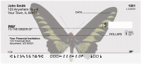 Butterfly Collector Personal Checks | ANI-50