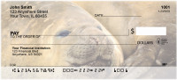 Elephant Seals and Sea Lions Personal Checks | ANI-70