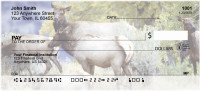 Elk in the High Country | ANI-72