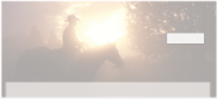 Roundup at Sunset Personal Checks | ANI-82