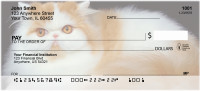 Persian Pedigrees Personal Checks | ANI-88