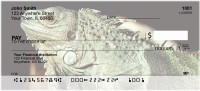 Iguana Be Cool | ANI-89