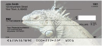 Iguana Be Cool | ANI-89