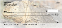 Razzle-Dazzle Reptiles Personal Checks | ANI-97