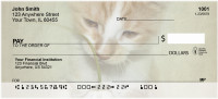 Flowers &amp; Cats Personal Checks