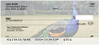 Peacock Pride Personal Checks | ANJ-51