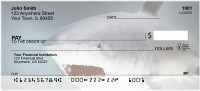 Jaws Personal Checks | ANJ-63