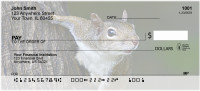 Squirrel Antics Personal Checks | ANJ-73